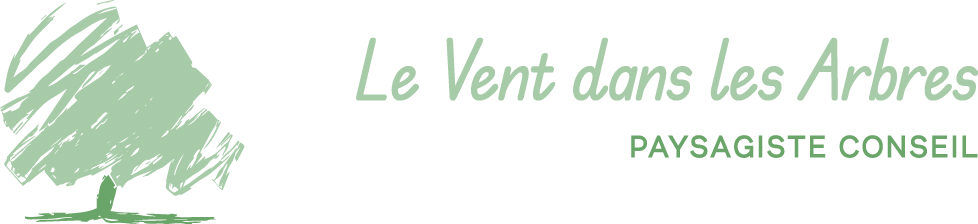 Le vent dans les arbres